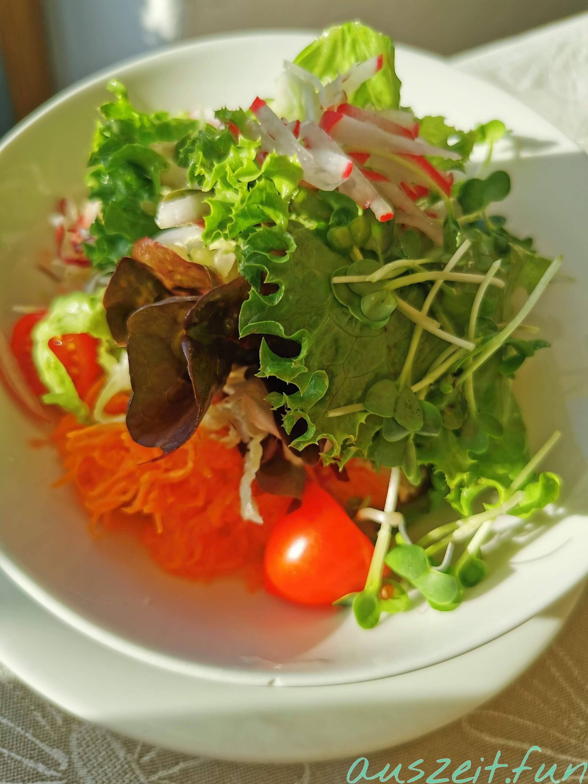 Dreiländerblick Dornbirn011 Dreiländerblick Dornbirn011