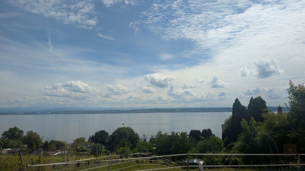Aussicht zwischen den Reben