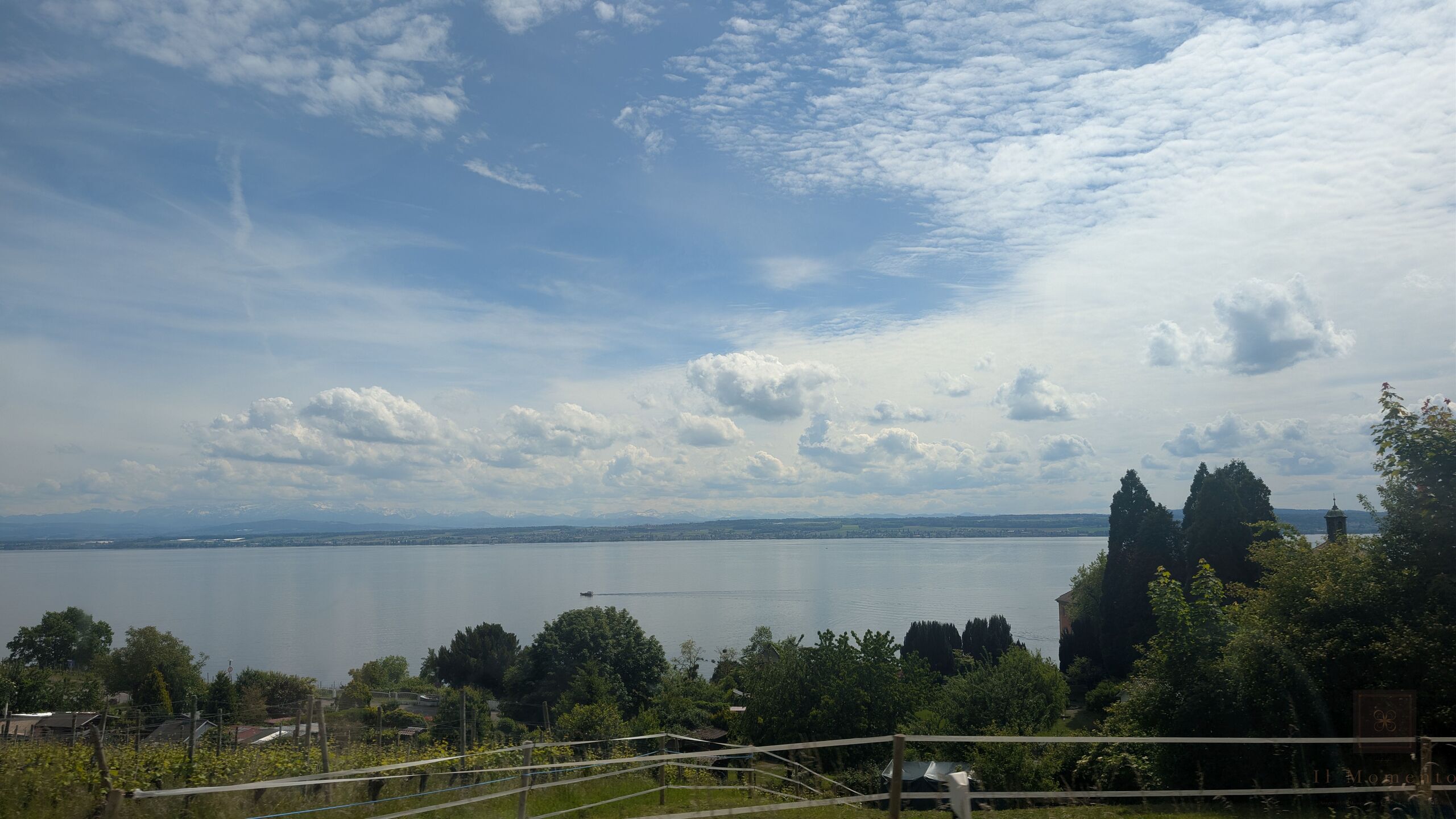 Aussicht zwischen den Reben