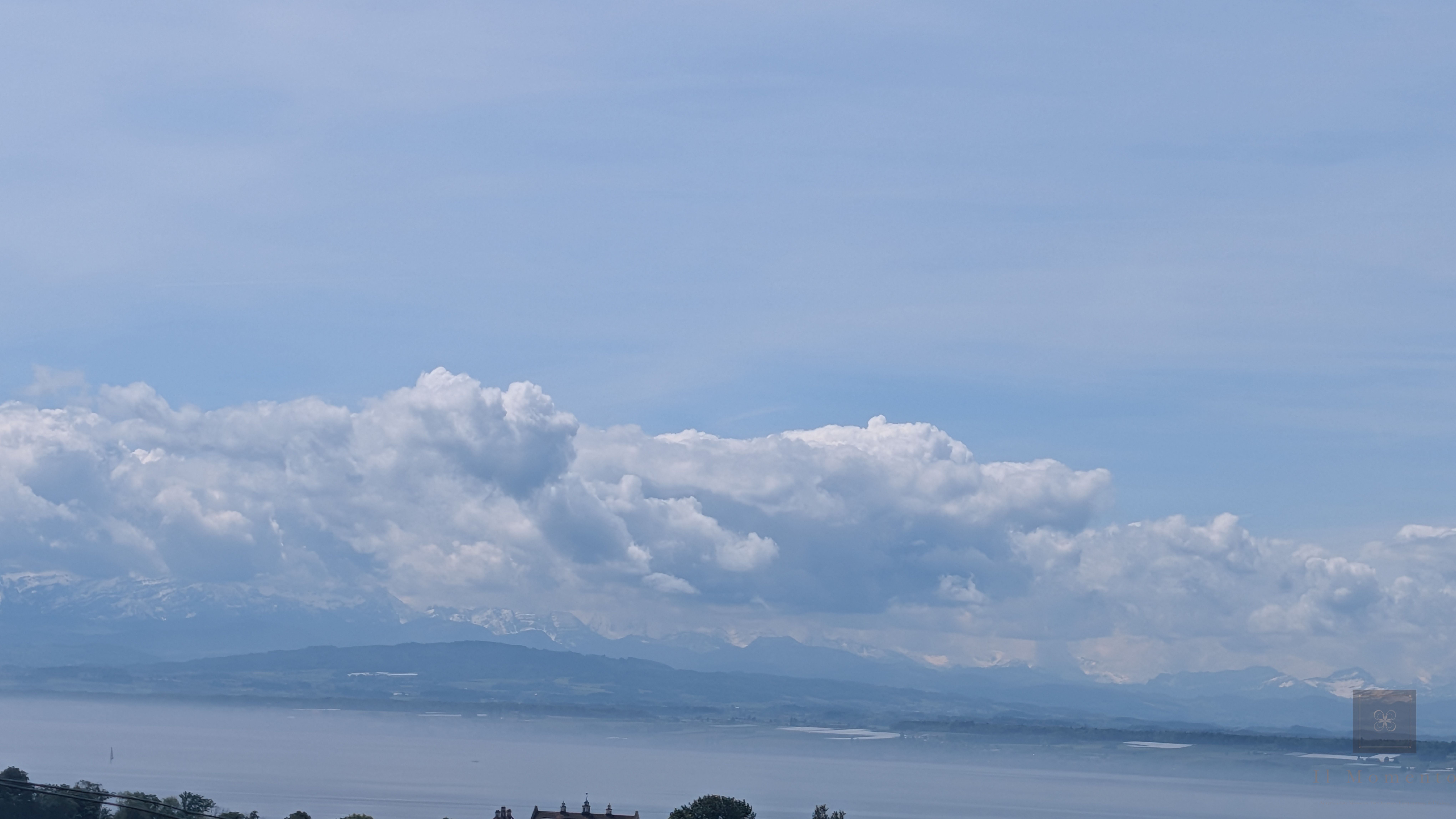 Aussicht zu den Reben